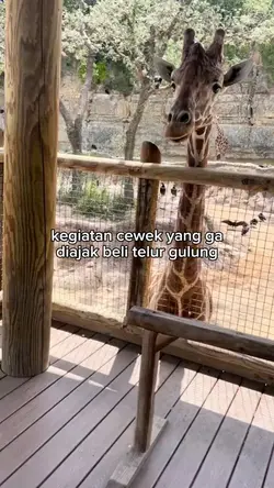 kegiatan cewek yang 