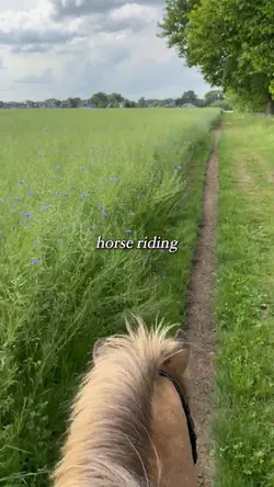 horse riding