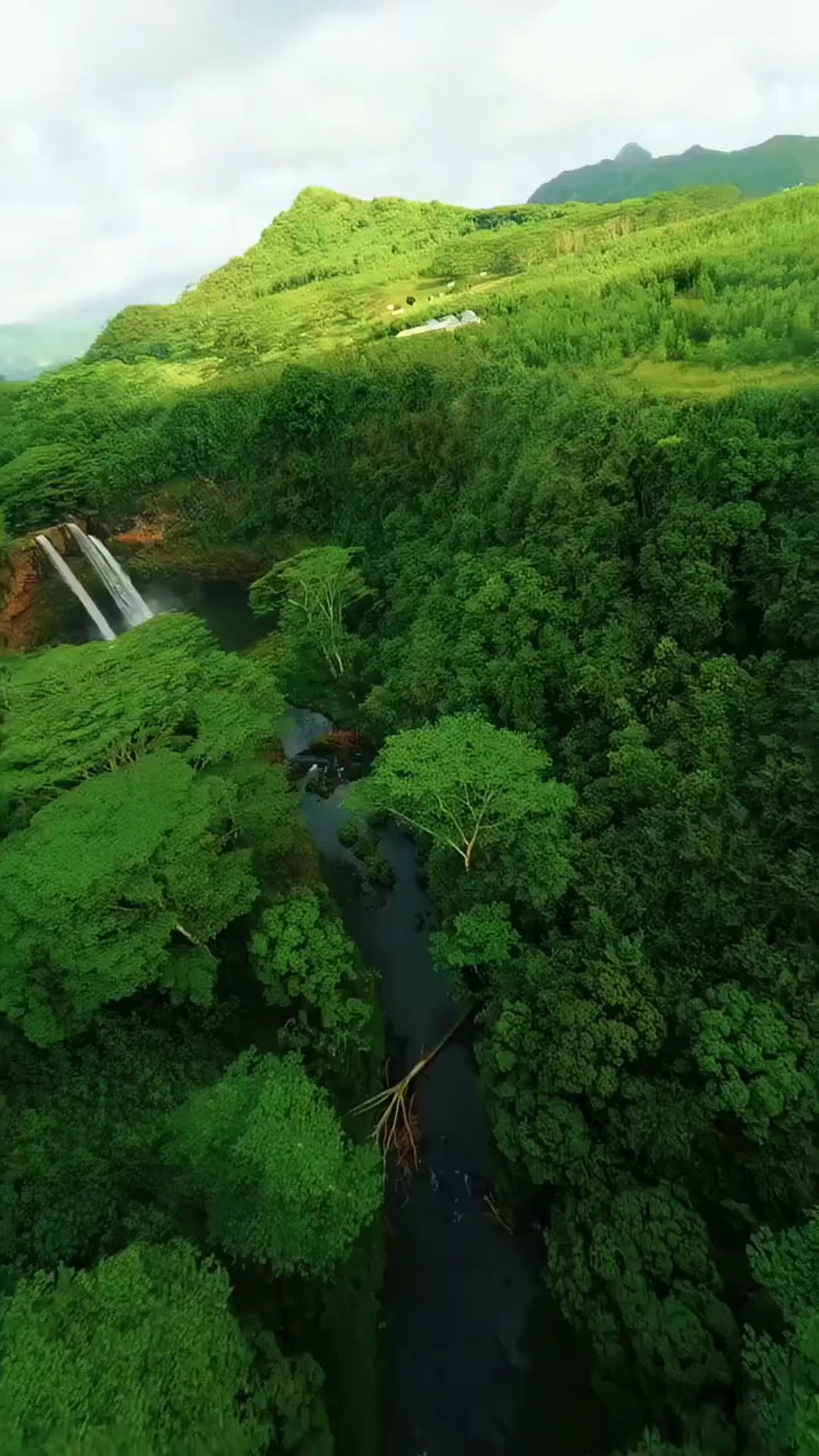 Aventura