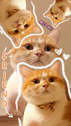 แมวตัวโปรด|ขยับได้