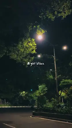 Night Vibes