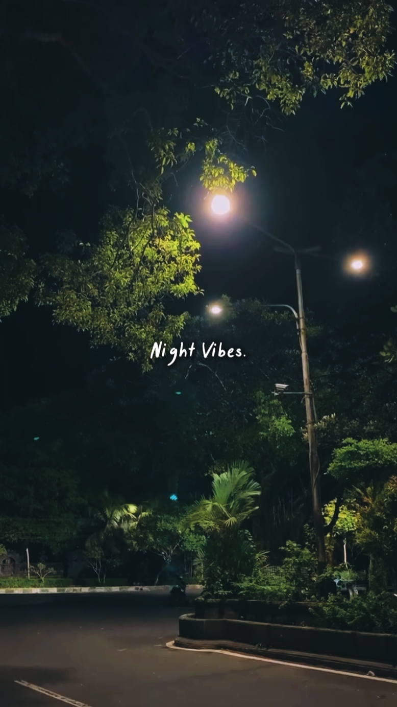 Vibras Nocturnas