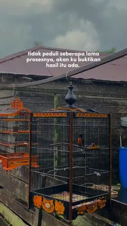 Bahan SW