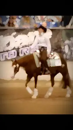 Reining >> π