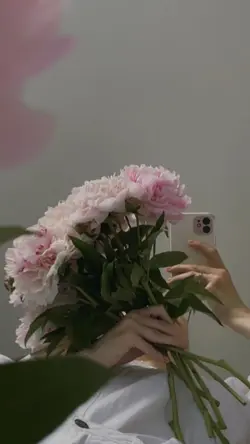 Dailyvlogstory 