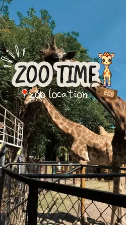zoo time 