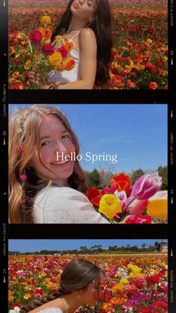 Hello Spring 