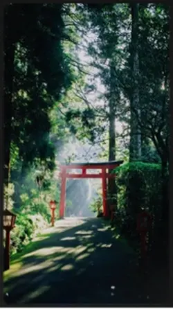 Japanese quotes
