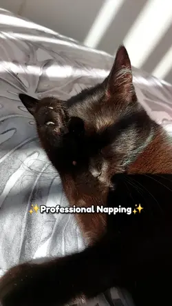 Professional napping