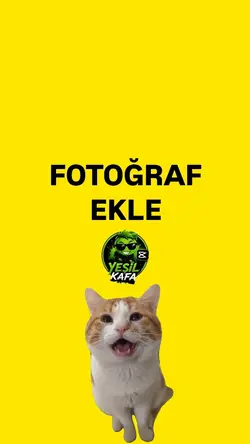 Ağlayan Kedi