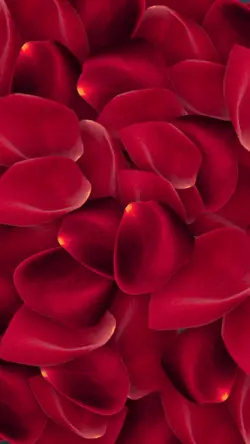 meditation for calmi