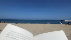 random landscape vid