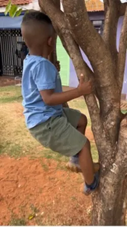 Meu pequeno