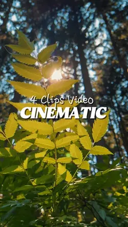 CINEMATIC 4 VIDEO