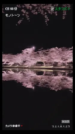 ♡⋆' ・ ₊ ° * ゜・♡⁺⊹˚.⋆