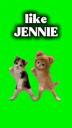 like JENNIE
