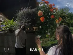 ve kmaleya nadan dil