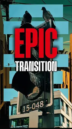 EPIC TRANSITION 