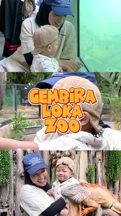 Zoo Vlogdaily