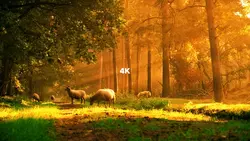 144p to 4k trend