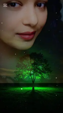 हिमाल सेतै छ