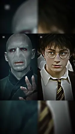 ハリー・ポッター