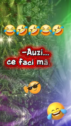 Fac Planuri.