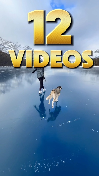ReelsVibe