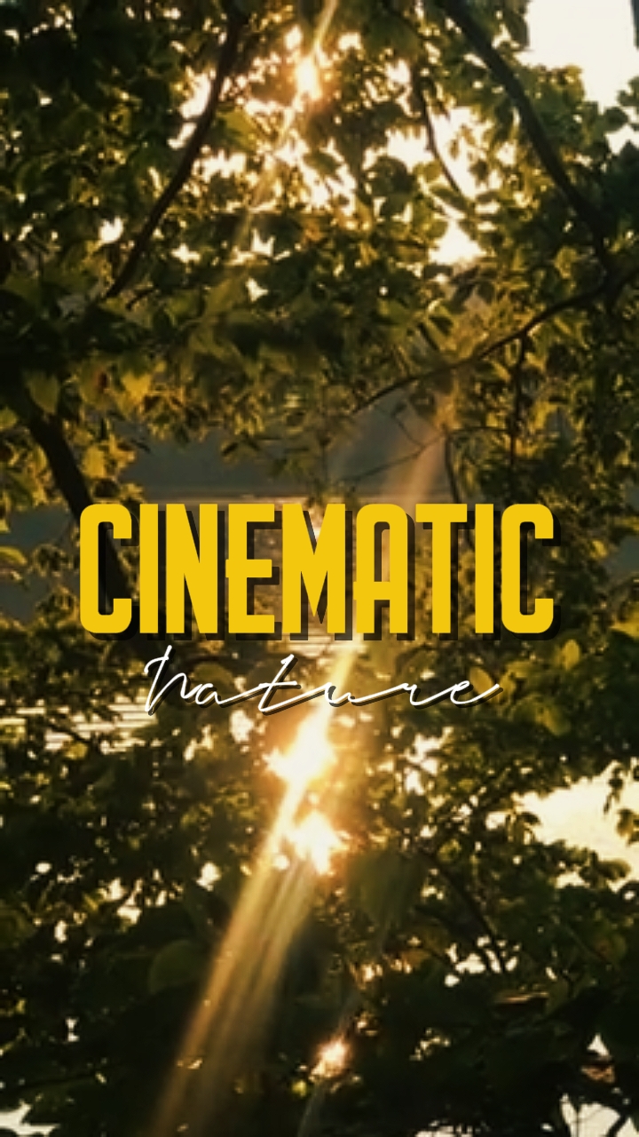 CINEMATIC NATURE 