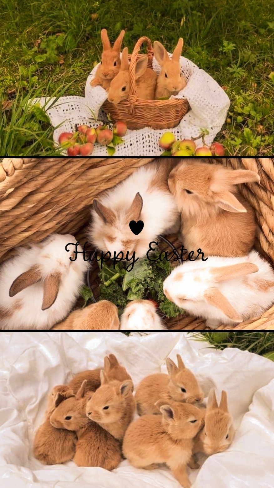 Selamat Paskah 