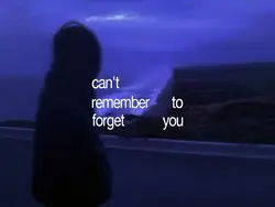Can't Remember 