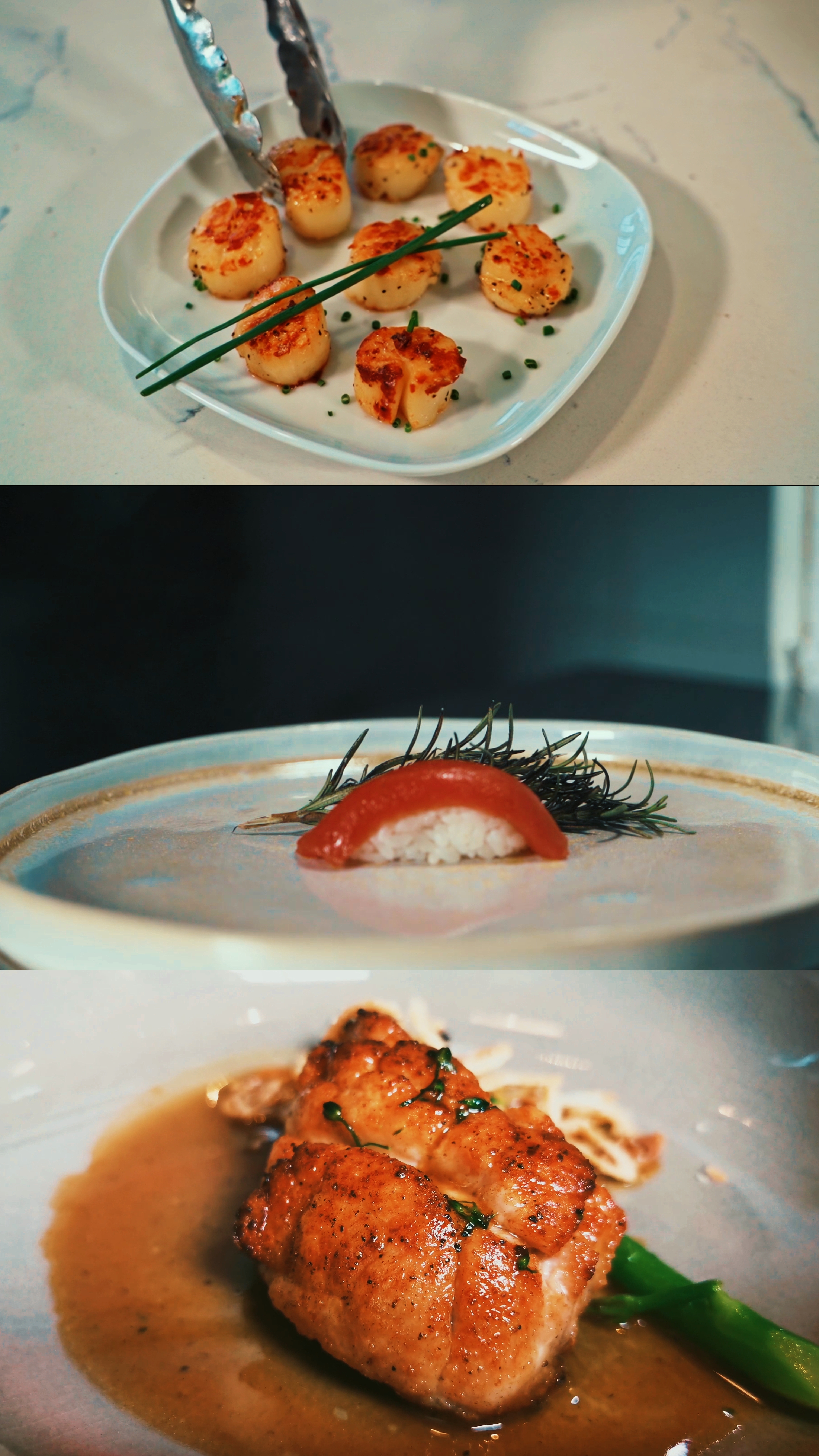 Modelo Foodie | 4