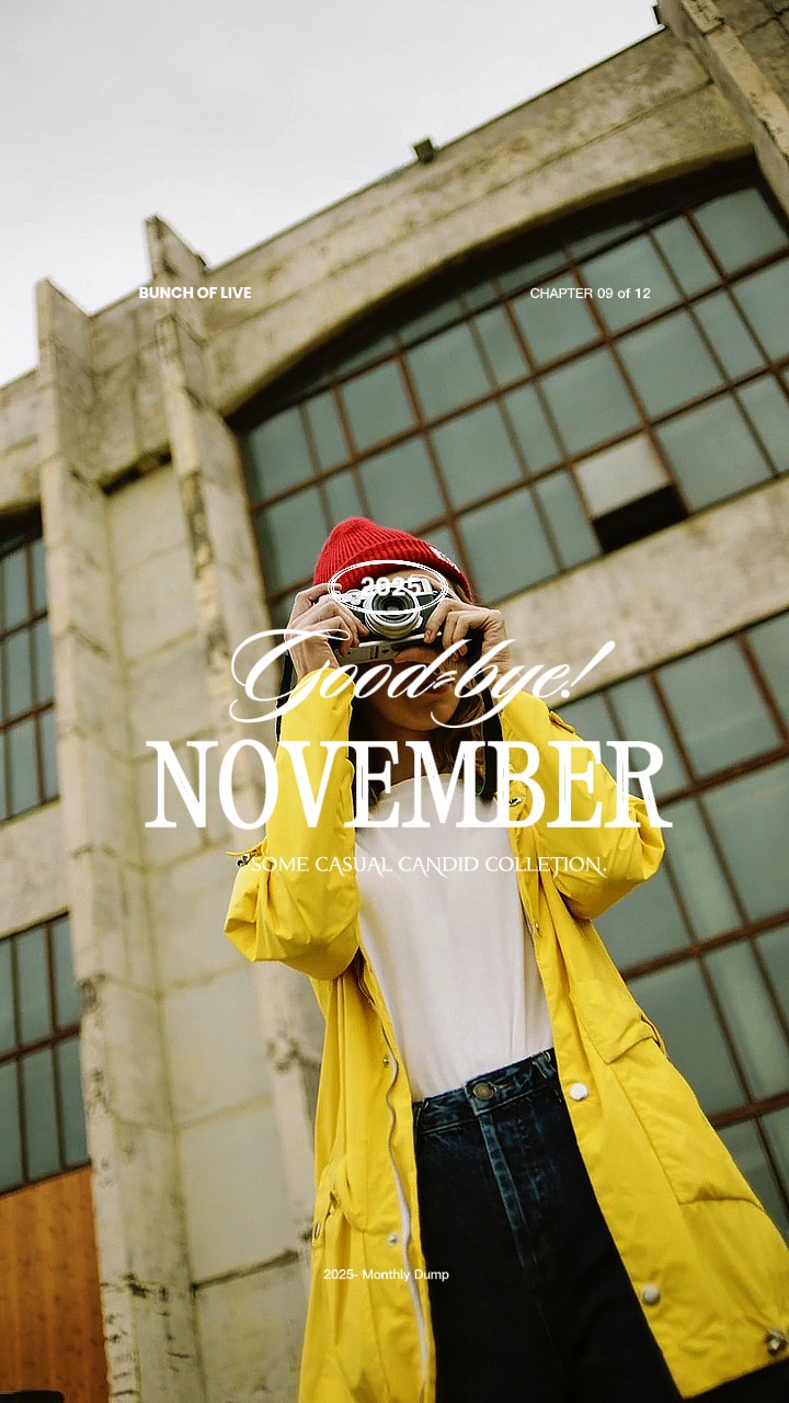 Adiós noviembre