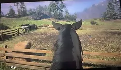 Lucius 🐴🐴🖤🖤