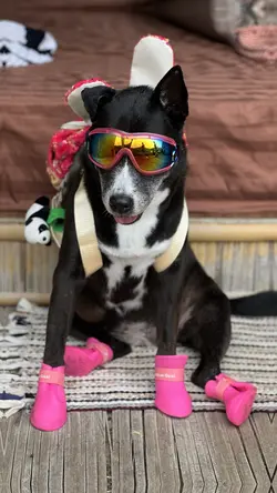 ลูกคนชัดๆ เอาไรมาพูด 