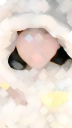 📸×3