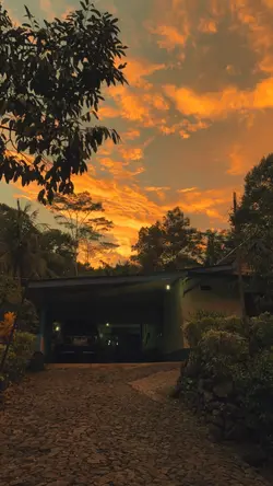 aesthetic