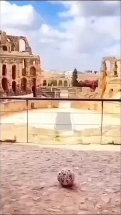 Jumpscare