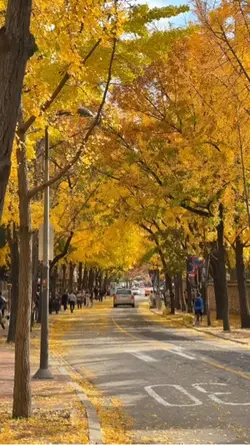 korea aesthetic 🍂