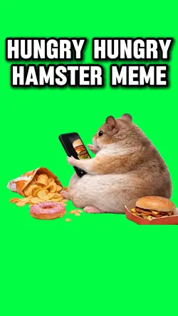 HUNGRY HAMSTER MEME