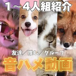 4人組紹介!💫