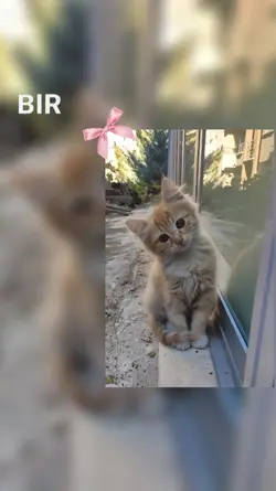 bir gülüşünle