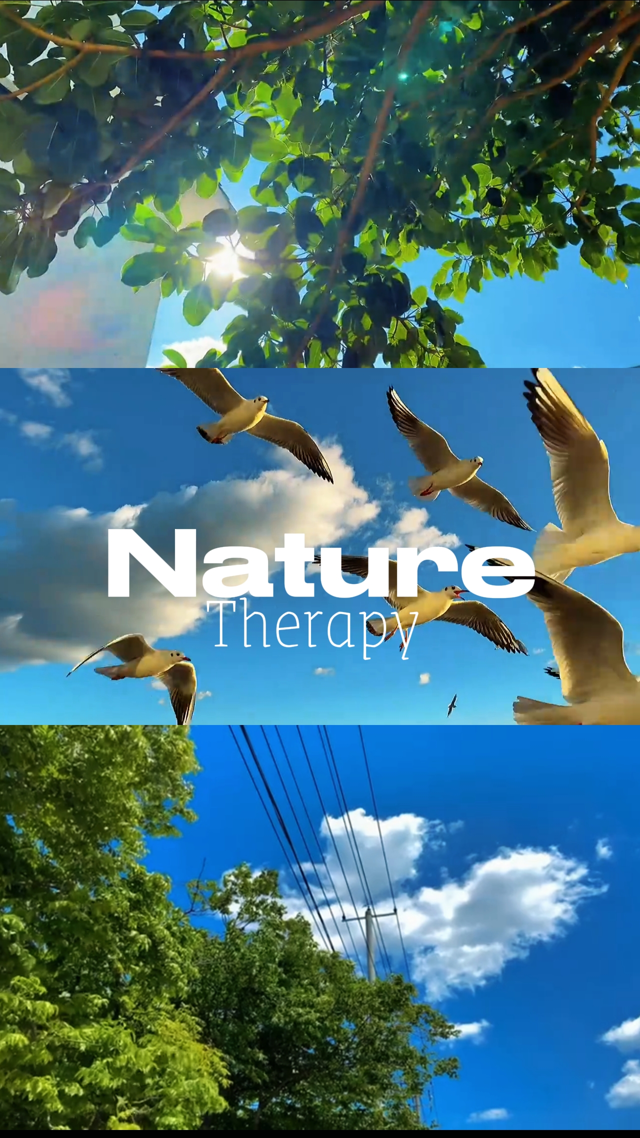 Nature Therapy 