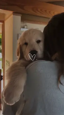 pet moment