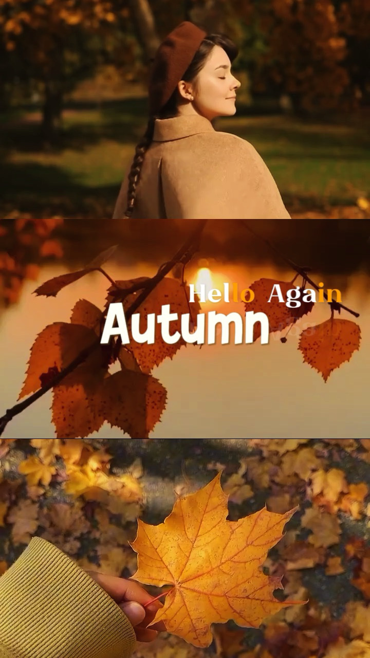 Autumn Vibes