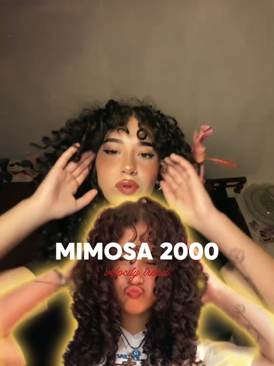 Mimosa 2000