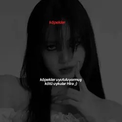 köpekler uyutulyrmus