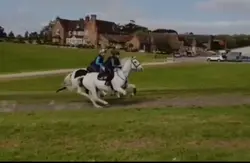 that gallop =0