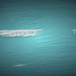 MNTGM LNR X CRZY STR