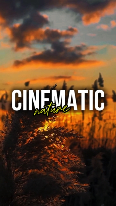 CINEMATIC NATURE